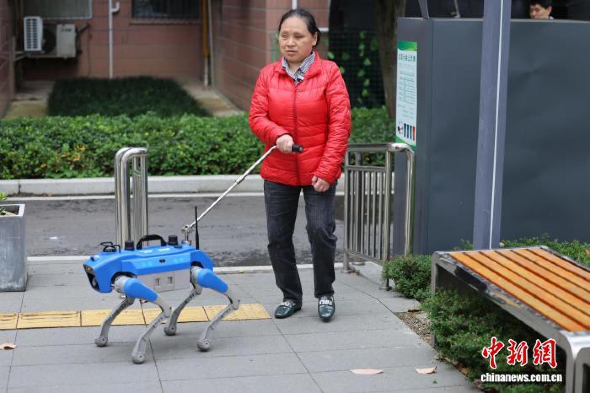 视障人士王旭正在参与智能导盲犬的测试。