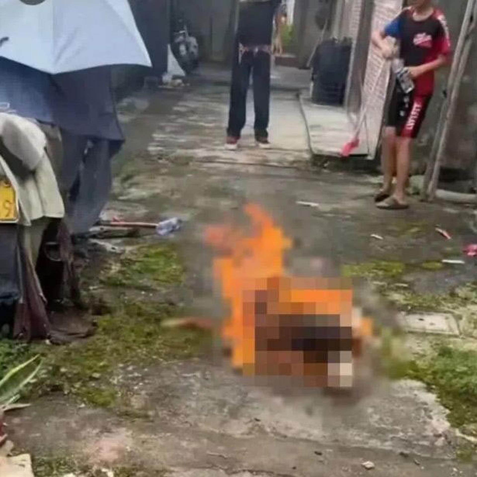 中国广东省揭阳市上月发生4名未成年人虐杀狗事件，1只母犬与其3只幼崽分别被汽油活烧和虐打致死。