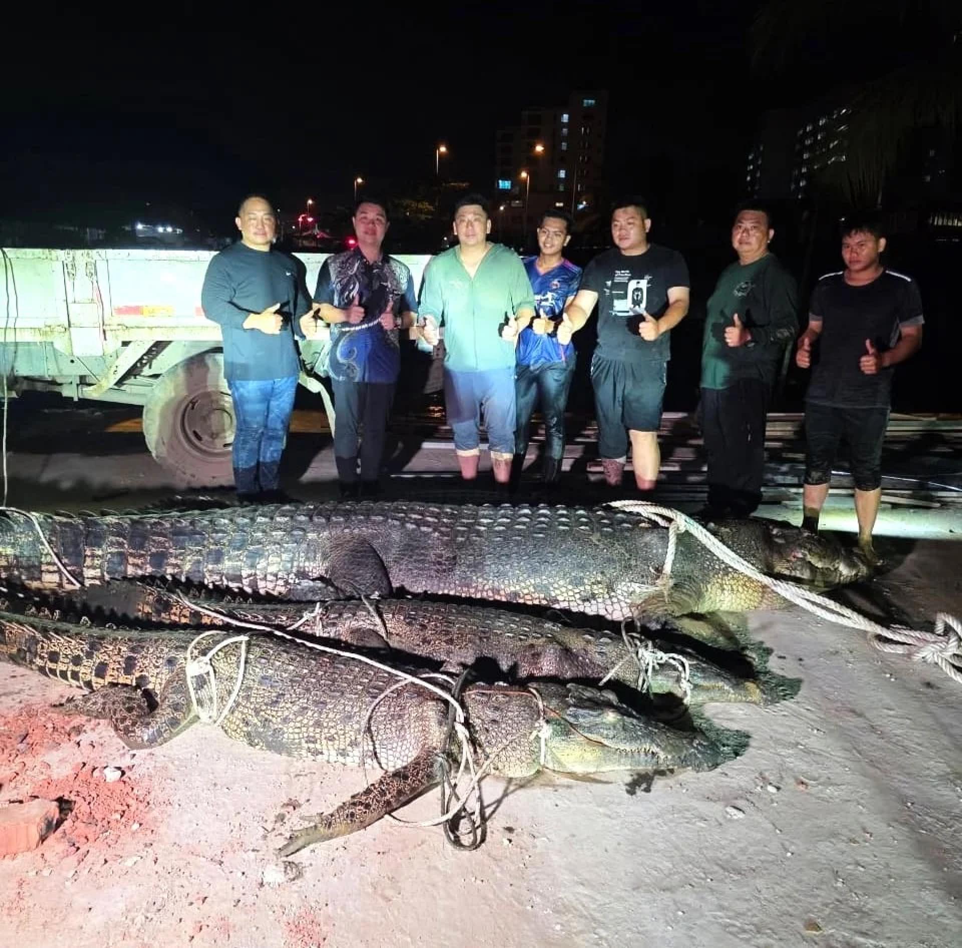江世伟（左四）率领捕鳄队员与江凯胜（右四）合影，展示在民都鲁多个高风险地区成功捕获的4条鳄鱼中的3条。