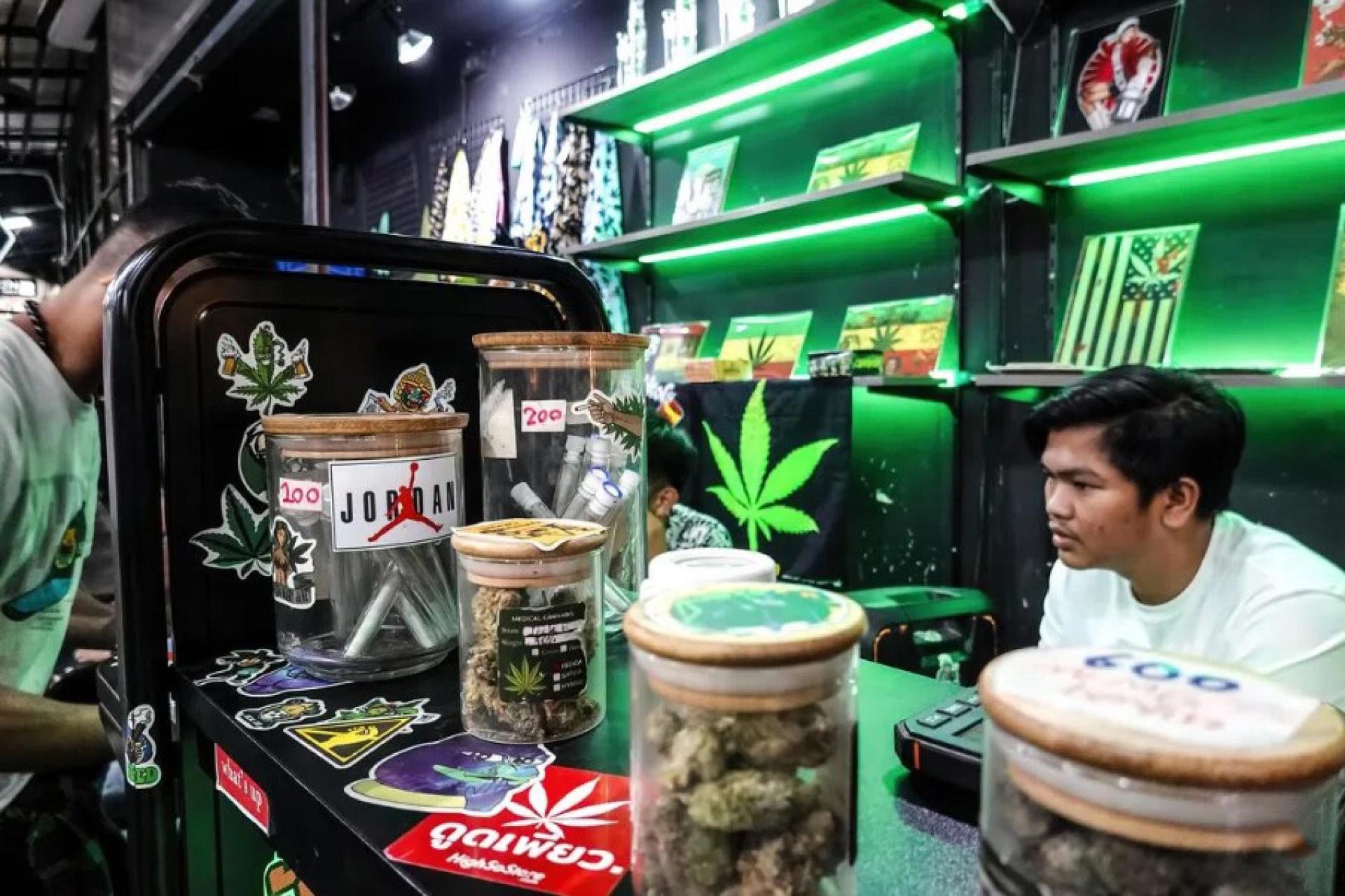 泰国政府拟定大麻管制法案草案，限制大麻的休闲用途。 （档案照片）